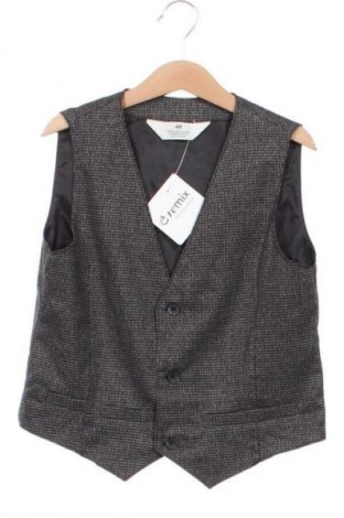 Детски елек H&M, Размер 8-9y/ 134-140 см, Цвят Многоцветен, Цена 10,74 €