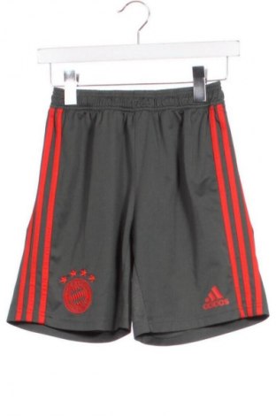 Dziecięce szorty Adidas, Rozmiar 13-14y/ 164-168 cm, Kolor Kolorowy, Cena 75,02 zł