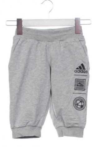 Kinder Shorts Adidas, Größe 5-6y/ 116-122 cm, Farbe Grau, Preis 10,99 €