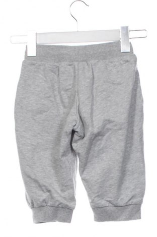 Kinder Shorts Adidas, Größe 5-6y/ 116-122 cm, Farbe Grau, Preis 10,99 €