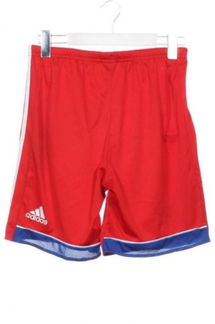 Dětské krátké kalhoty  Adidas, Velikost 15-18y/ 170-176 cm, Barva Červená, Cena  289,00 Kč