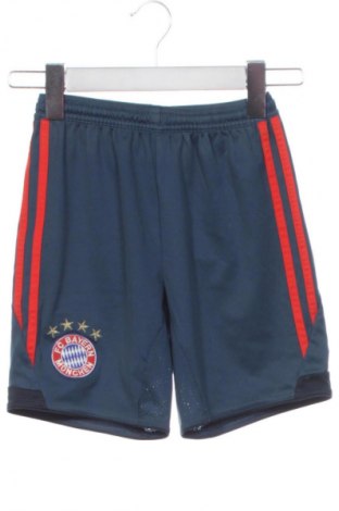 Kinder Shorts Adidas, Größe 6-7y/ 122-128 cm, Farbe Mehrfarbig, Preis 11,99 €