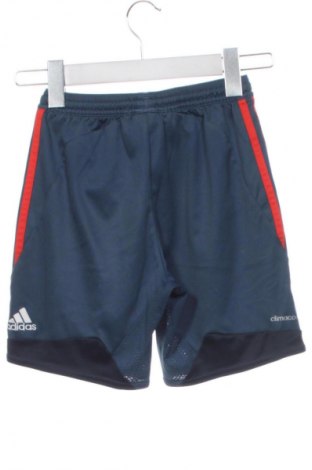 Kinder Shorts Adidas, Größe 6-7y/ 122-128 cm, Farbe Mehrfarbig, Preis 11,99 €