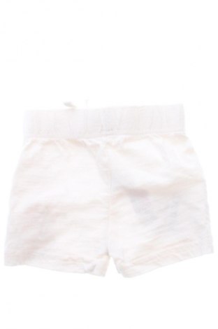 Pantaloni scurți pentru copii Primark, Mărime 2-3m/ 56-62 cm, Culoare Multicolor, Preț 36,49 Lei