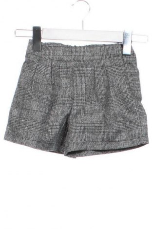 Dziecięce szorty Primigi, Rozmiar 2-3m/ 56-62 cm, Kolor Kolorowy, Cena 24,99 zł