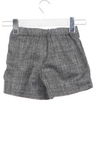 Dziecięce szorty Primigi, Rozmiar 2-3m/ 56-62 cm, Kolor Kolorowy, Cena 24,99 zł