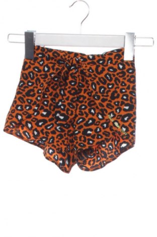 Dziecięce szorty WE, Rozmiar 2-3y/ 98-104 cm, Kolor Kolorowy, Cena 19,99 zł