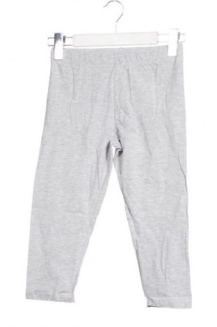 Dětské legíny  Alive, Velikost 10-11y/ 146-152 cm, Barva Šedá, Cena  149,00 Kč