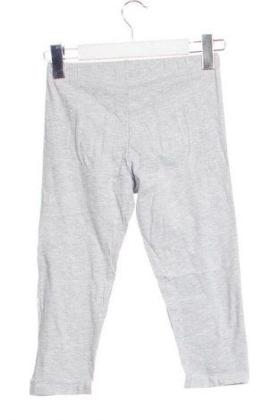 Dětské legíny  Alive, Velikost 10-11y/ 146-152 cm, Barva Šedá, Cena  149,00 Kč