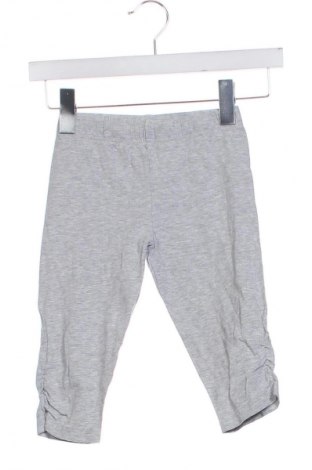 Dziecięce legginsy Alive, Rozmiar 6-7y/ 122-128 cm, Kolor Szary, Cena 19,99 zł