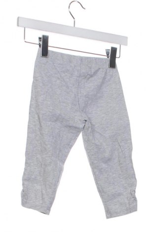 Dziecięce legginsy Alive, Rozmiar 6-7y/ 122-128 cm, Kolor Szary, Cena 19,99 zł