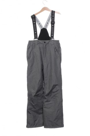 Παιδικό παντελόνι για χειμερινά σπορ Crane, Μέγεθος 10-11y/ 146-152 εκ., Χρώμα Γκρί, Τιμή 18,99 €