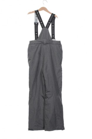 Παιδικό παντελόνι για χειμερινά σπορ Crane, Μέγεθος 10-11y/ 146-152 εκ., Χρώμα Γκρί, Τιμή 18,99 €