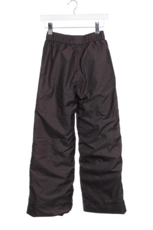 Παιδικό παντελόνι για χειμερινά σπορ Wedze, Μέγεθος 14-15y/ 168-170 εκ., Χρώμα Γκρί, Τιμή 16,99 €
