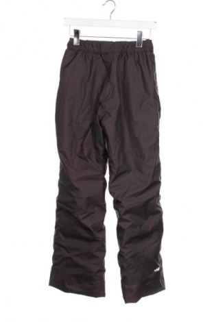 Παιδικό παντελόνι για χειμερινά σπορ Wedze, Μέγεθος 13-14y/ 164-168 εκ., Χρώμα Γκρί, Τιμή 16,99 €