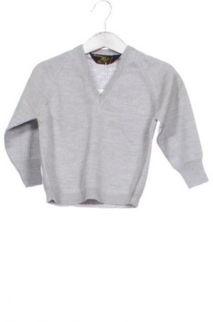 Dětský svetr  Unbranded, Velikost 3-4y/ 104-110 cm, Barva Šedá, Cena  199,00 Kč