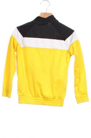 Dětská mikina  Champion, Velikost 5-6y/ 116-122 cm, Barva Vícebarevné, Cena  239,00 Kč