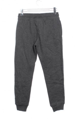 Παιδική κάτω φόρμα H&M, Μέγεθος 11-12y/ 152-158 εκ., Χρώμα Γκρί, Τιμή 8,99 €