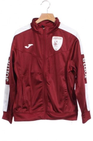 Παιδικό αθλητικό πάνω φόρμα Joma, Μέγεθος 9-10y/ 140-146 εκ., Χρώμα Πολύχρωμο, Τιμή 9,99 €