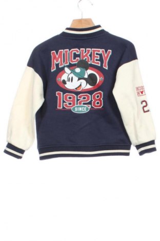 Детско яке Disney, Размер 3-4y/ 104-110 см, Цвят Многоцветен, Цена 10,22 €