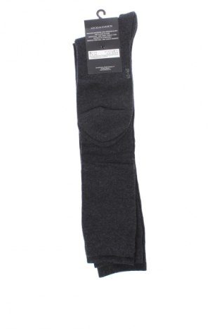 Komplet  Sf, Veľkosť XL, Farba Sivá, Cena  8,95 €