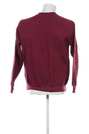 Herren Shirt Fruit Of The Loom, Größe M, Farbe Lila, Preis 9,99 €