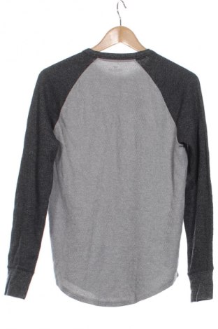 Herren Shirt Hollister, Größe S, Farbe Grau, Preis 20,00 €