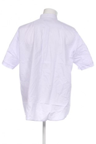 Férfi ing Authentic Clothing Company, Méret XXL, Szín Lila, Ár 6 929 Ft