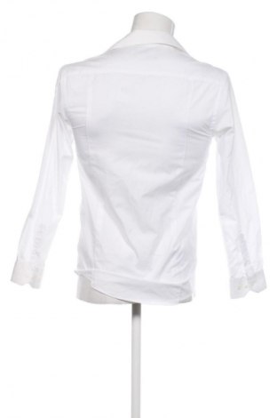 Herrenhemd CedarWood State, Größe M, Farbe Weiß, Preis 14,77 €