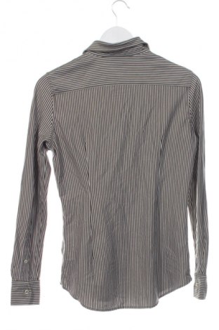 Herrenhemd Polo Ralph Lauren, Größe M, Farbe Mehrfarbig, Preis 53,00 €