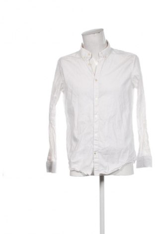 Ανδρικό πουκάμισο Tom Tailor, Μέγεθος L, Χρώμα Λευκό, Τιμή 17,00 €