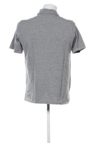 Herren Shirt Kappa, Größe XL, Farbe Grau, Preis 10,00 €