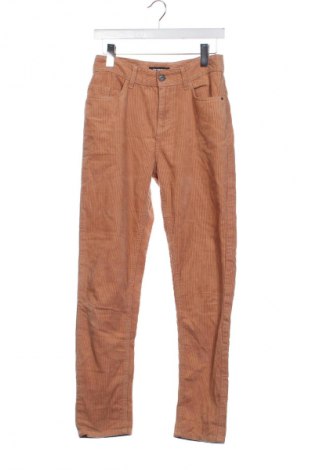 Pantaloni raiați de bărbați Terranova, Mărime XS, Culoare Maro, Preț 34,99 Lei