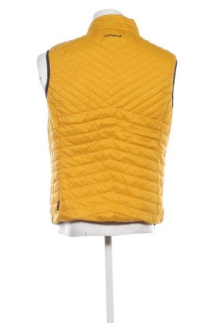 Ανδρικό γιλέκο Icepeak, Μέγεθος L, Χρώμα Κίτρινο, Τιμή 95,99 €