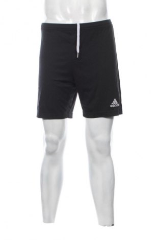 Ανδρικό κοντό παντελόνι Adidas, Μέγεθος M, Χρώμα Μαύρο, Τιμή 17,00 €