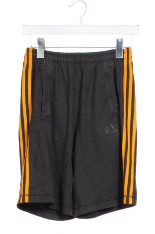 Herren Shorts Adidas, Größe S, Farbe Grau, Preis 22,99 €