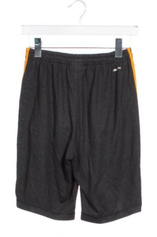 Herren Shorts Adidas, Größe S, Farbe Grau, Preis 22,99 €