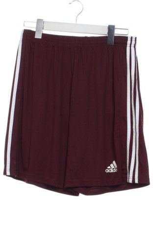 Pantaloni scurți de bărbați Adidas, Mărime XS, Culoare Roșu, Preț 75,99 Lei