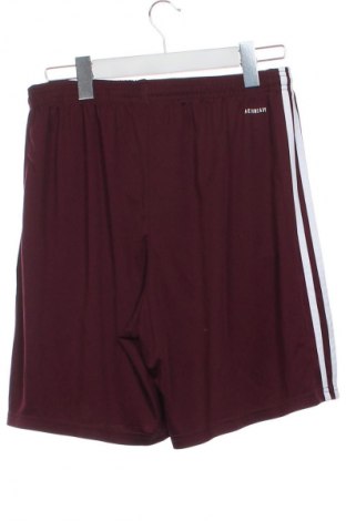 Pantaloni scurți de bărbați Adidas, Mărime XS, Culoare Roșu, Preț 75,99 Lei