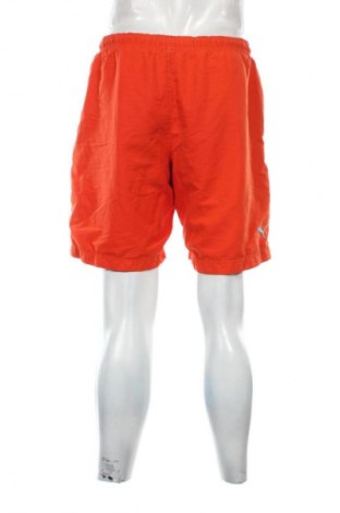 Herren Shorts PUMA, Größe L, Farbe Rot, Preis € 19,99