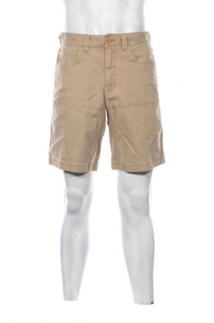 Herren Shorts The North Face, Größe M, Farbe Gelb, Preis 29,99 €