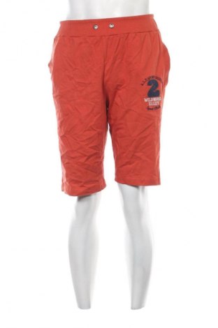 Herren Shorts Unbranded, Größe L, Farbe Braun, Preis 11,99 €