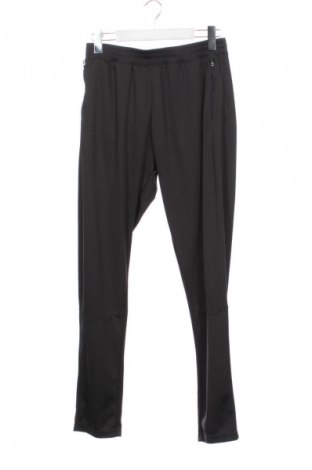 Pánské legíny  Crane, Velikost XS, Barva Šedá, Cena  169,00 Kč