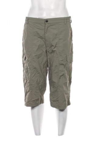 Herrenhose Maul, Größe L, Farbe Grün, Preis 12,99 €