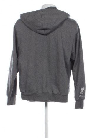 Ανδρικό φούτερ Adidas, Μέγεθος L, Χρώμα Γκρί, Τιμή 27,99 €