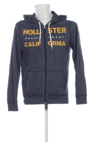 Herren Sweatshirt Hollister, Größe M, Farbe Mehrfarbig, Preis € 20,99