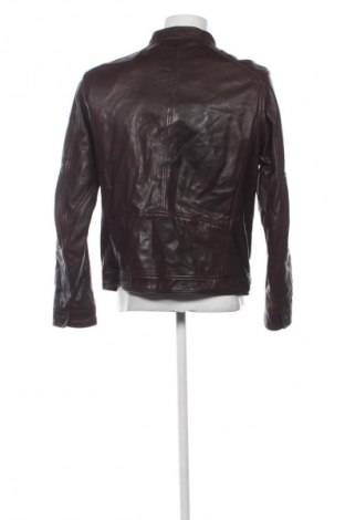 Herren Lederjacke Tom Tailor, Größe L, Farbe Braun, Preis 66,99 €