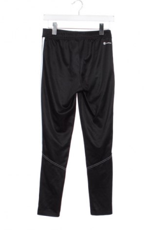 Herren Sporthose Adidas, Größe S, Farbe Schwarz, Preis € 20,99