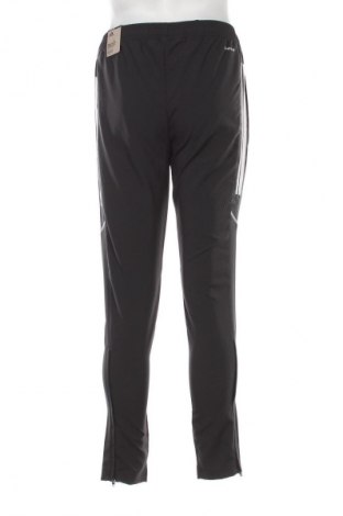 Herren Sporthose Adidas, Größe M, Farbe Mehrfarbig, Preis 55,22 €