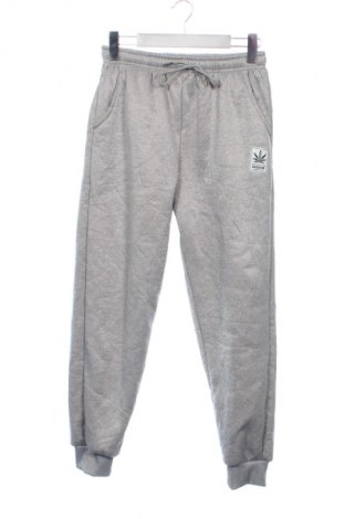 Мъжко спортно долнище Unbranded, Размер XS, Цвят Сив, Цена 14,77 €